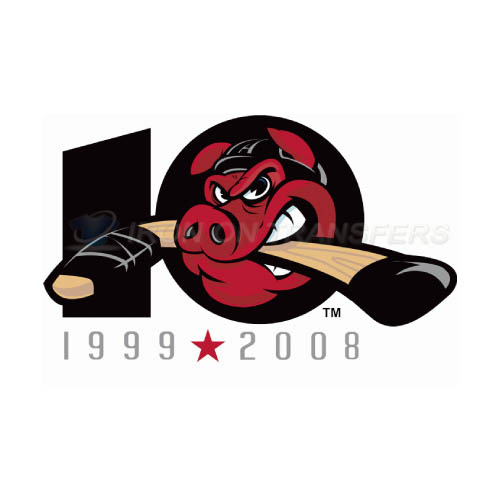 Rockford IceHogs Iron-on Stickers (Heat Transfers)NO.9129